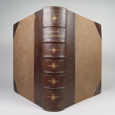 Image for The Illustrated Book of Poultry; with practical schedules for judging, constructed from actual analysis of the best modern decisions