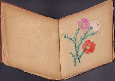 Image for Book of illustrations by a Young Boy