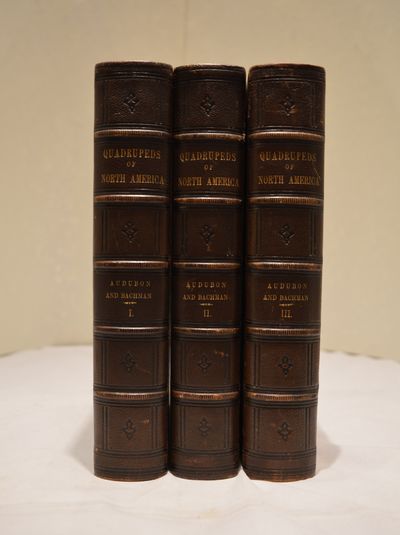 Image for Quadrupeds of North America 1860 edition.
