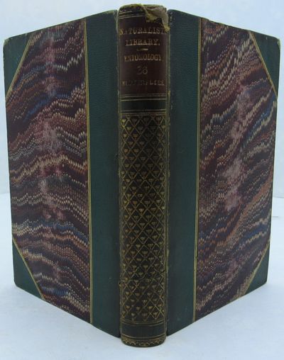 Image for Foreign Butterflies. The Naturalist's Library. Volume XXXVI. Entomology. Volume III.