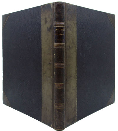 Image for A Catalogue of the Chinese Translation of the Buddhist Tripitaka, The Sacred Canon of the Buddhists in China and Japan