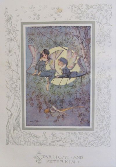 Image for The Story of Dulcibella and the Fairies