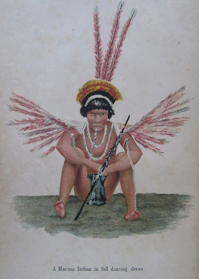 Image for Among the Indians of Guiana. Being sketches chiefly anthropologic from the interior of British Guiana. With 53 illustrations and a map.