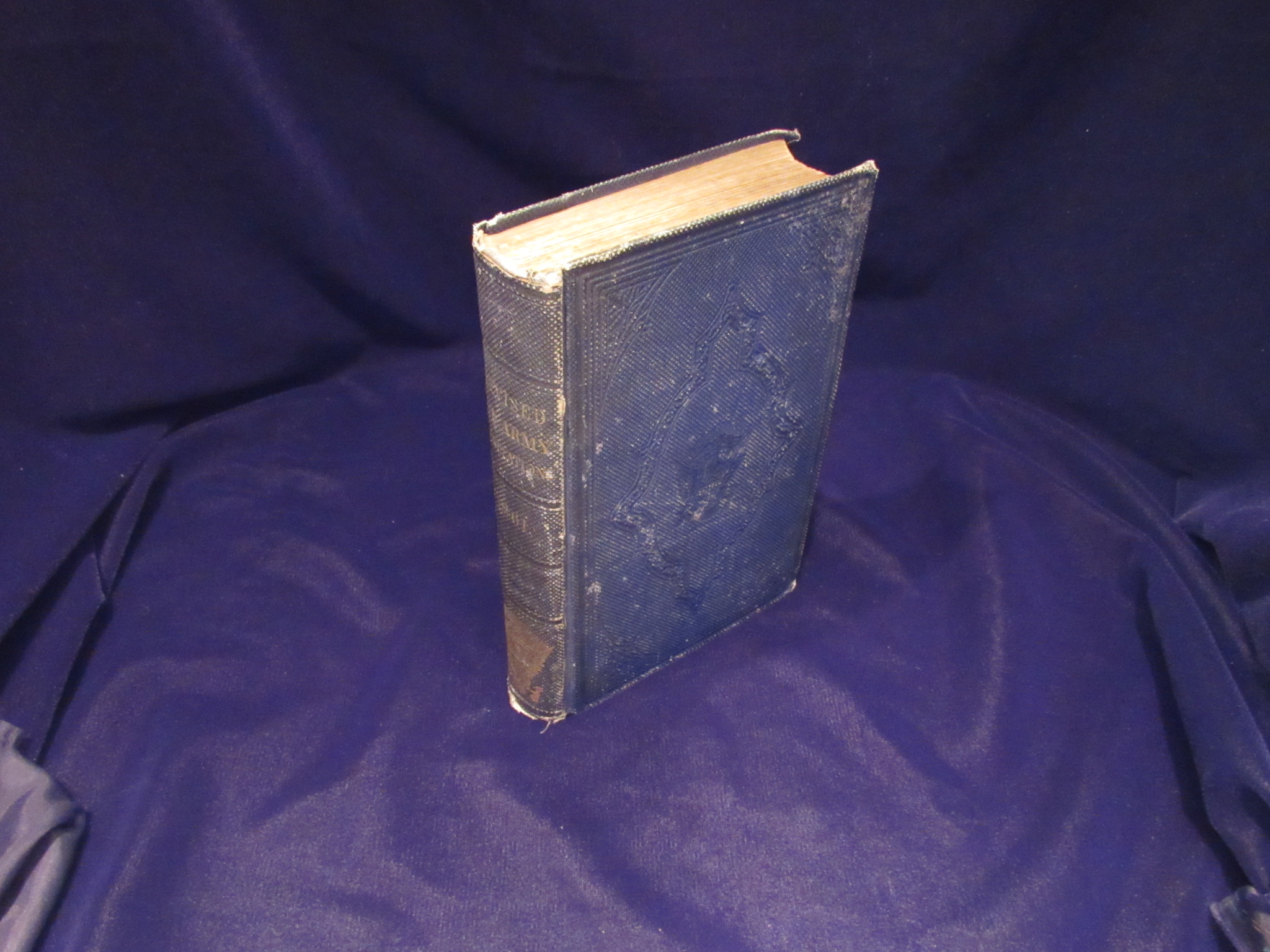 Thumbnail Image