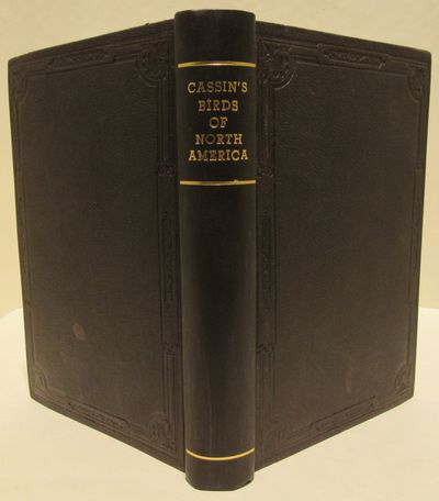 Image for Illustrations of the Birds of California, Texas, Oregon, British and Russian America. Intended to Contain Descriptions and Figures of all North American Birds not given by Former American Authors, and a General Synopsis of North American Ornithology.